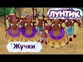 Лунтик - Смешные серии про Жучков. Мультики 2017