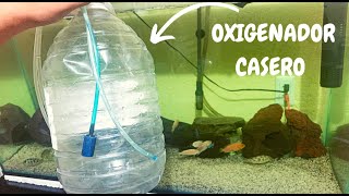 El oxigenador para acuario es necesario?