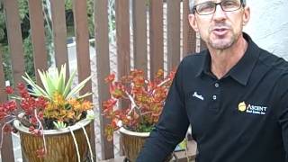 Blt-Jonathanolow Better Living Tuesday 4.19.11