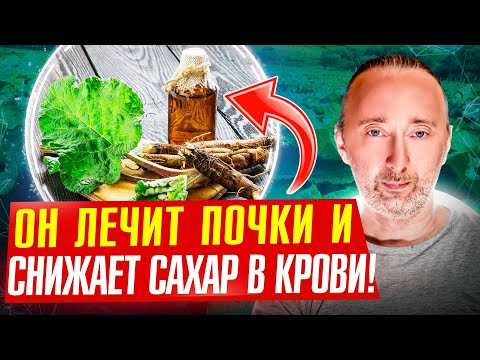Средство №1 для ПОЧЕК и Простаты: снижает САХАР и холестерин!