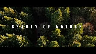 The Beauty of Nature | Short Film [4K]