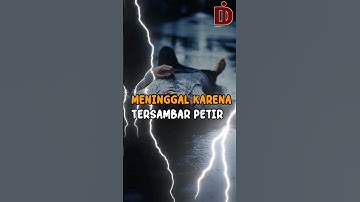 Meninggal dunia karena tersambar petir #vidioshort #feedshorts