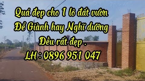 Ngân Hàng dí quá nên bán rẻ lô đất vườn tâm huyết tại Xã Láng Lớn đường đi thuận lợi gần Trung Tâm.