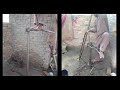 Water Pump Construction in Kot Addu, 2024