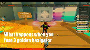 What happens when you fuse 3 GOLDEN HAXIGATOR 👾
