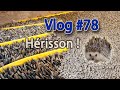 Hrisson et drainage  vlog rnovation 78