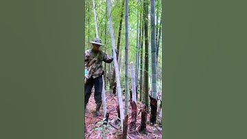 Bamboo cutting process sharing - good tools can make the work more efficient