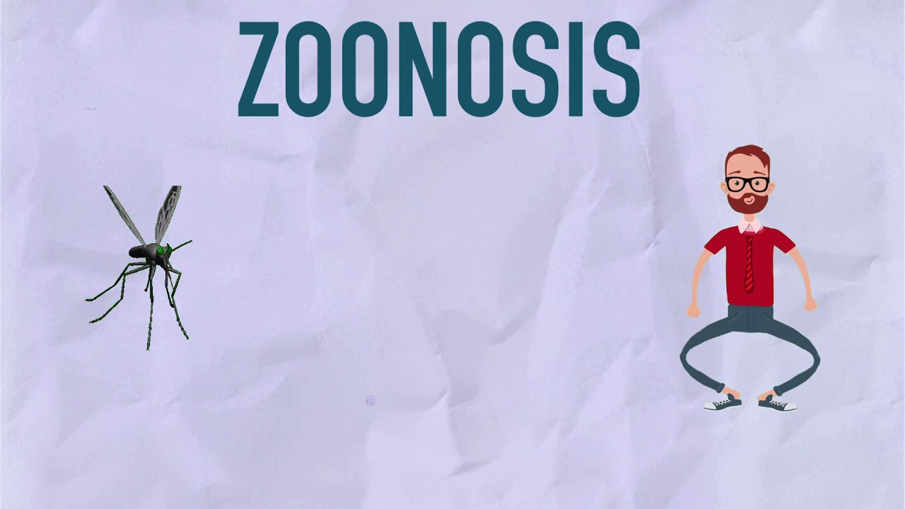 Zoonosis YouTube
