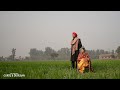 Gurtej  dilruban  ii pre wedding 2024 4k ii a  film by ravi photography jagraon