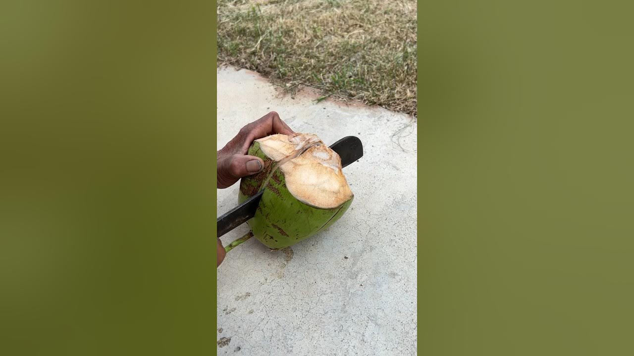 Coconut #fruit #food - YouTube