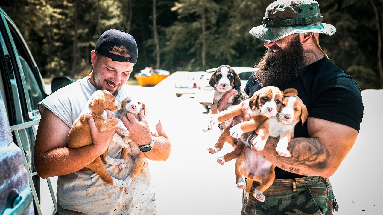 Diese Welpen wurden aus einem fahrenden Auto geworfen & wir haben sie gerettet!