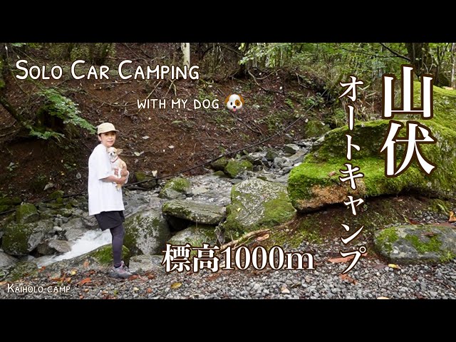 キャンバス油絵　専用　 旅をするサフォーク羊岩山を越えて　小さめキャンバス キャンバス油絵 専用 旅をするサフォーク羊 岩山を越えて 小さめ