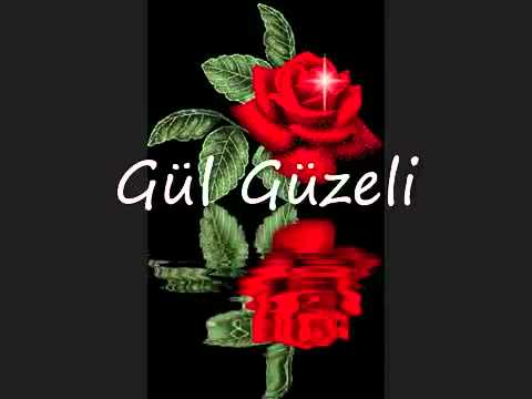 Gül Güzeli fon müzik