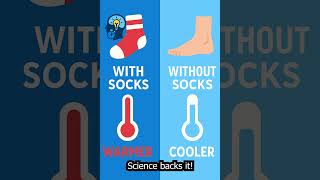 Why You Should Sleep with Socks On #quickwise #facts #dentalartistry