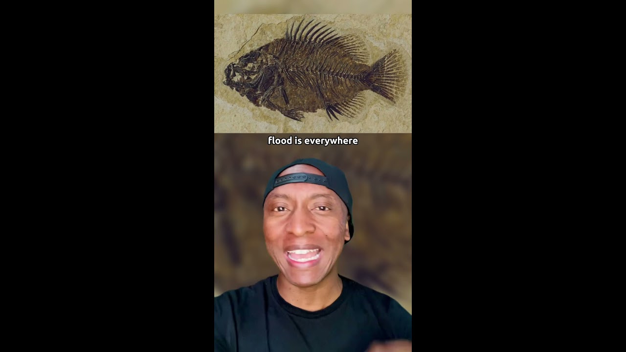 This Is REAL PROOF OF NOAH S ARK 