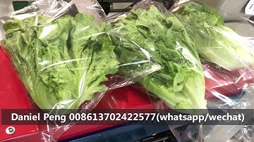 How to packing the celery lettuce into bag? Lettuce celery vegetable packing machine