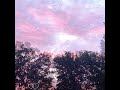 backyard sunsets
