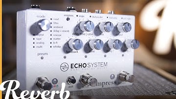 Echosystem Dual Engine Delay - Empress Effects | Reverb Demo Video