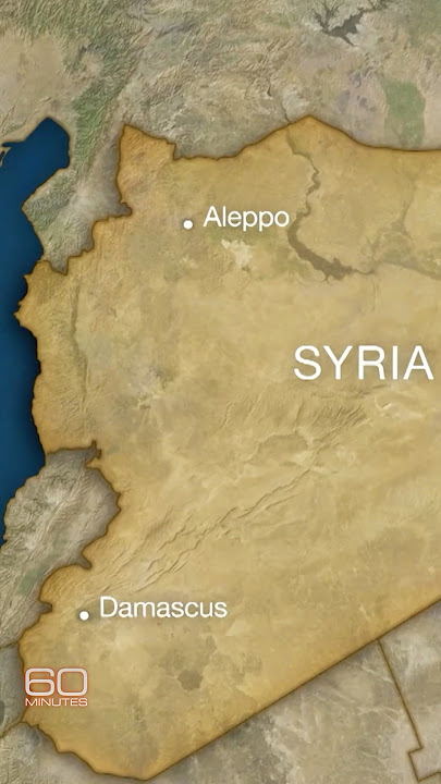How Assad’s regime fell in Syria #shorts