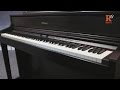 Цифрове фортепіано ROLAND HP605PE