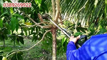 Máy cắt cỏ tỉa cành cầm tay dùng pin siêu gọn, siêu nhẹ | Battery powered lawn mower