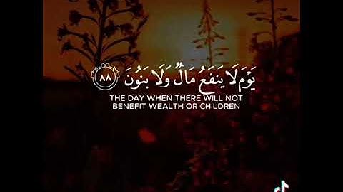 احمد النفيس - سورة الشعراء