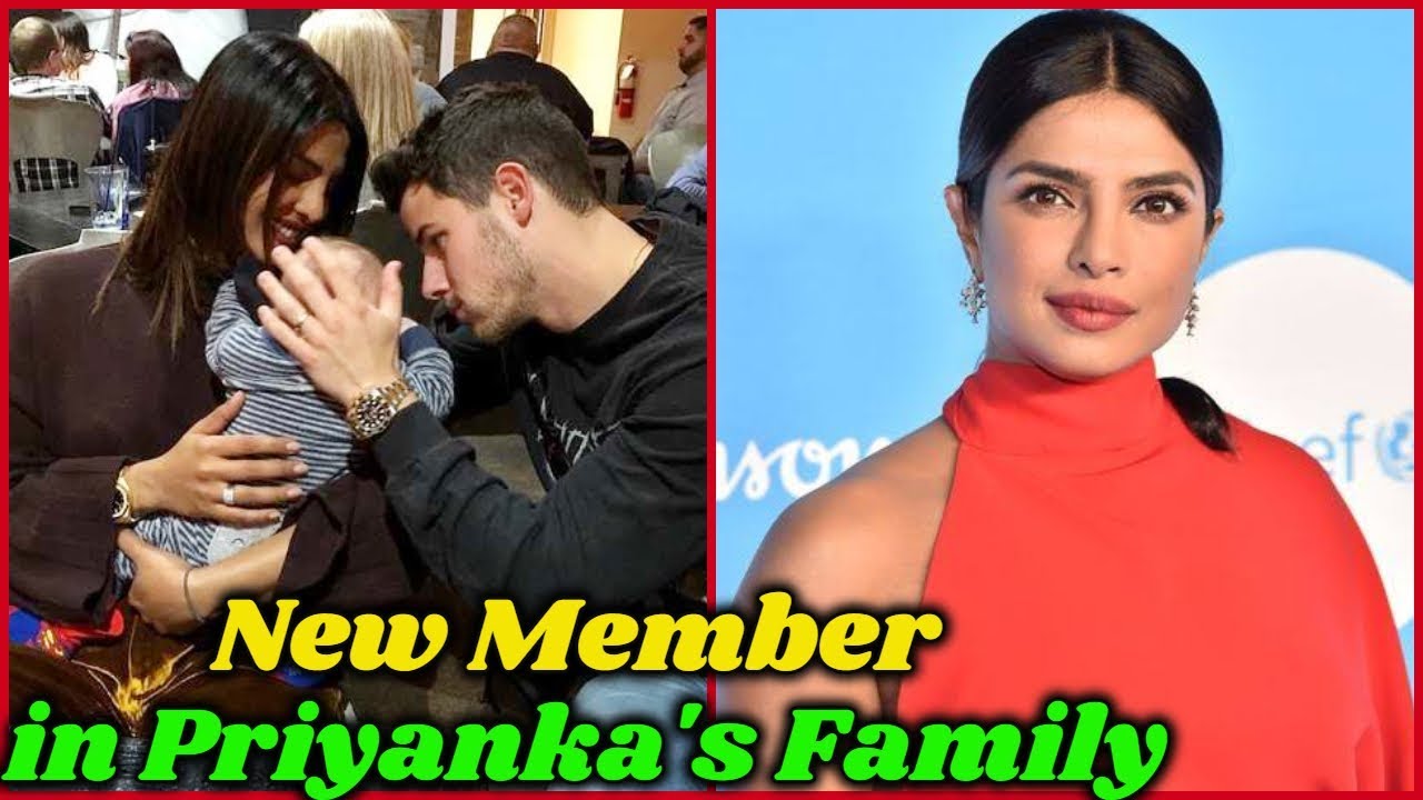 New Family Member in Priyanka Chopra's Life and Family - YouTube