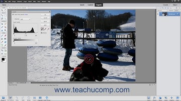 Photoshop Elements 2021 Tutorial Using Levels Adobe Training