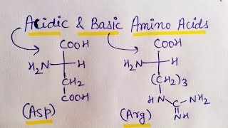 Acidic Amino Acids and Basic Amino Acids | Biomolecules | JEE | NEET Acidic And Basic Amino Acids