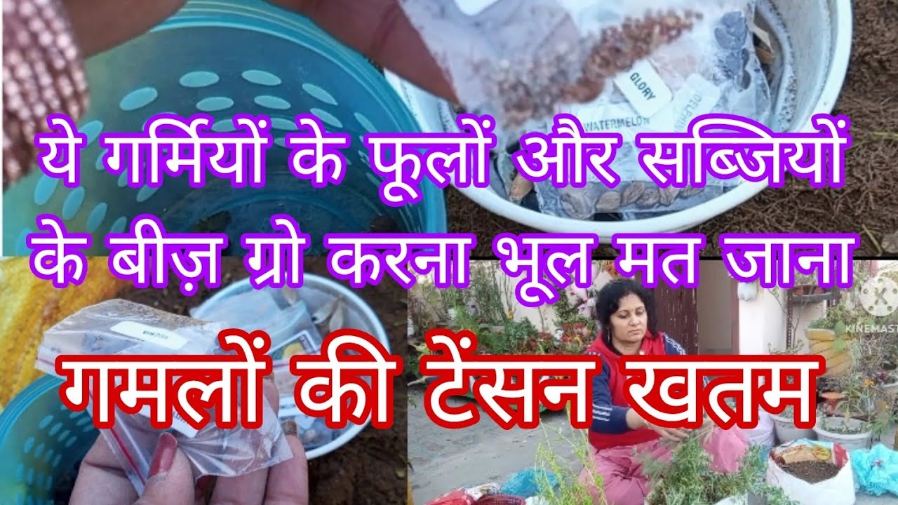 ये गर्मियों के(फूलों,सब्जियों) के बीज़ लगाना मत भूलना/गमलों की टेंसन खतम/Zero budget Gardening