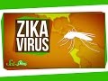 Zika Virus: What We Know (And What We Don