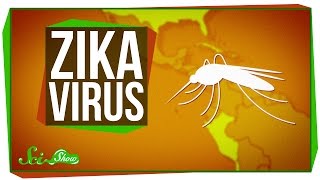 Zika Virus: What We Know (And What We Don't)(The Zika Virus is spreading at an alarming rate. SciShow News will explain what we know and what we don't know thus far. Hosted by: Hank Green ..., 2016-02-05T22:00:00.000Z)
