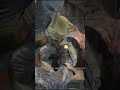 Kratos smashing lizards for 60 seconds 🦎…. #shorts
