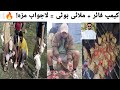 Part 13 : Camping, Bonfire &amp; Malai Boti Feast at Patlian Lake 🇵🇰🔥 Must Watch ⌚