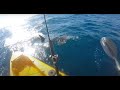 Kayak fisherman fights off aggressive hammerhead shark