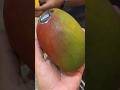 Brazil Mango Kharid Lia |`|#vlog #souravjoshivlogs #shortsfeed #youtubeshorts #shorts #vlogger