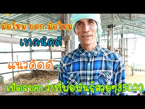 ผลสลากกินแบ่งรัฐบาล วันที่ 1 พย. 2567 ผลสลากกินแบ่งรัฐบาล วันที่ 1 พย. 2567