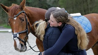 Schlechte Stimmung bei der Pferdeausbildung – Mutter sein ist nicht einfach