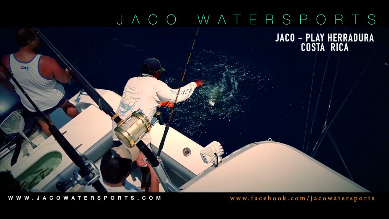 Jaco Watersports FISH - DIVE - SNORKEL - CRUISE