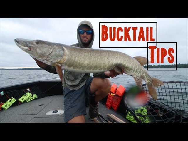 How to Catch More Muskies On Bucktails 
