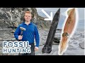 Gigantic Squid Fossil! Fossil Hunting