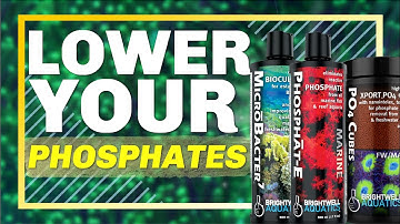 Shockingly Simple Ways to Lower Phosphates in a Reef Aquarium