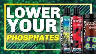 : Shockingly Simple Ways to Lower Phosphates in a Reef Aquarium