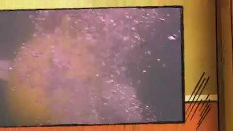 Pacific Test with Sub