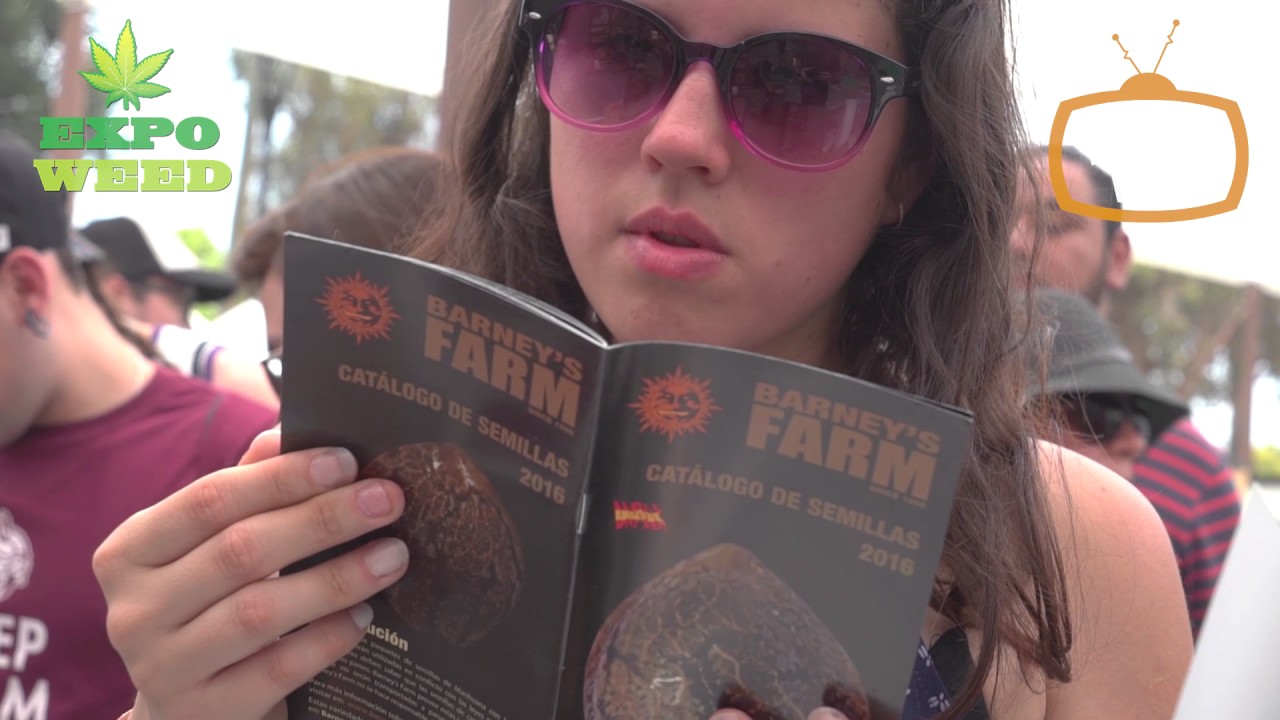 Barneys Farm @ ExpoWeed 2016 Chile - Barneys TV