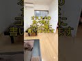 #ショート動画