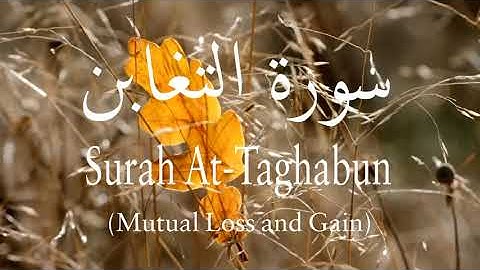 Surah At-Taghabun (Mutual Loss and Gain) | سورة التغابن | Qari Abdul Basit