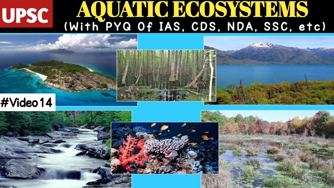AQUATIC ECOSYSTEMS Environment and Ecology UPSC 2024 royalgyan pyq