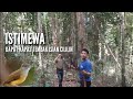 ISTIMEWA DAPAT KAPAS TEMBAK ISIAN CILILIN ASLI HUTAN TAPSEL Part4