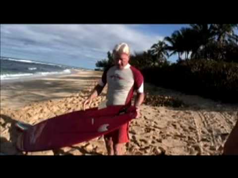 Bear 09 Sunset 01 - YouTube